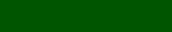 Imprinted Bib - Dark green